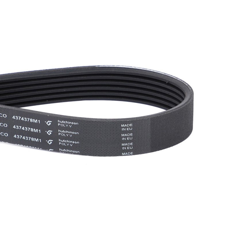 Serpentine Belt, Pk6 Profile — MF-4374378M1