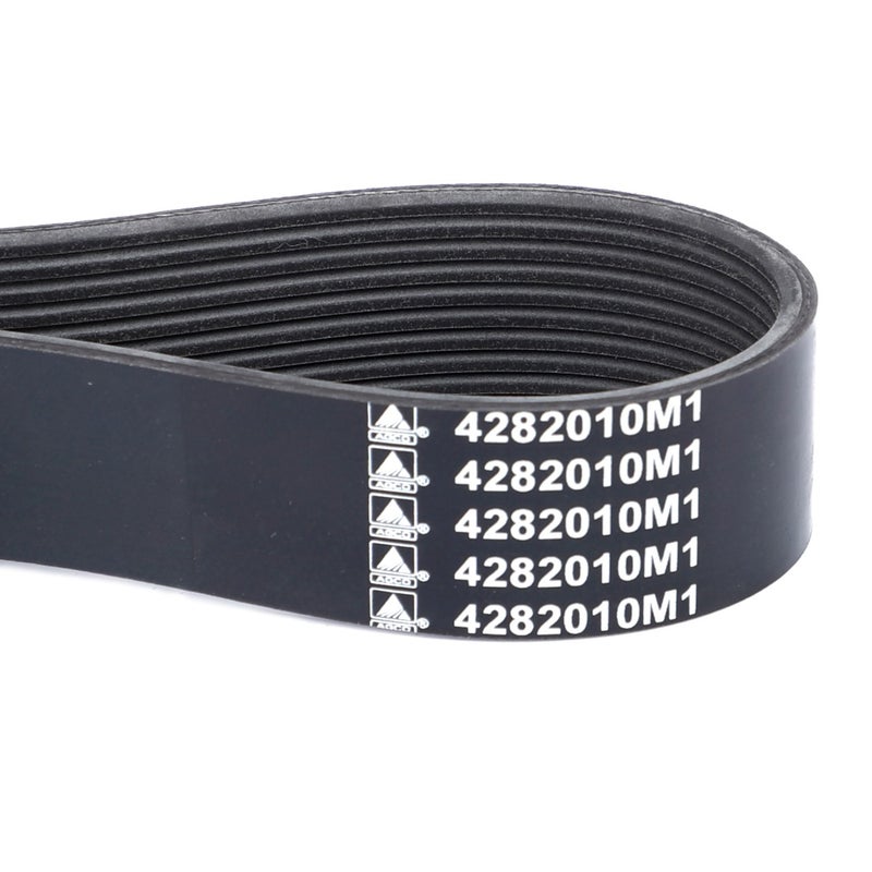 Serpentine Belt, Pk10 Profile — MF-4282010M1
