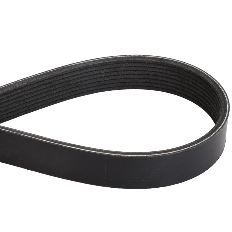 Alternator Belt — MF-3977363M1