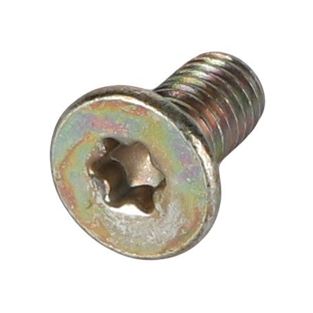 Torx Head Screw — MF-3010762X1