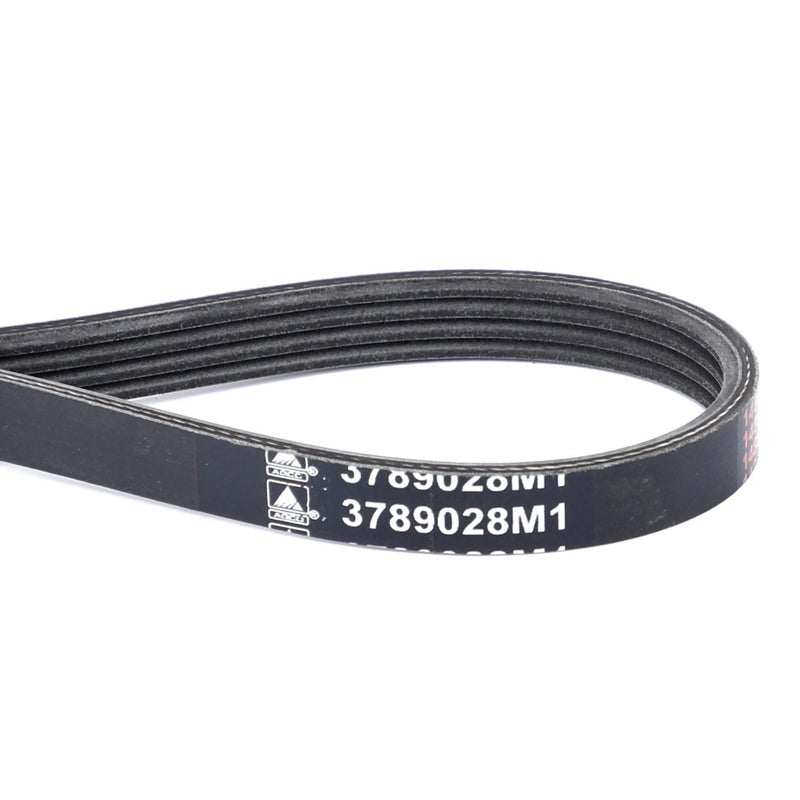 Serpentine Belt, Pk4 Profile — MF-3789028M1