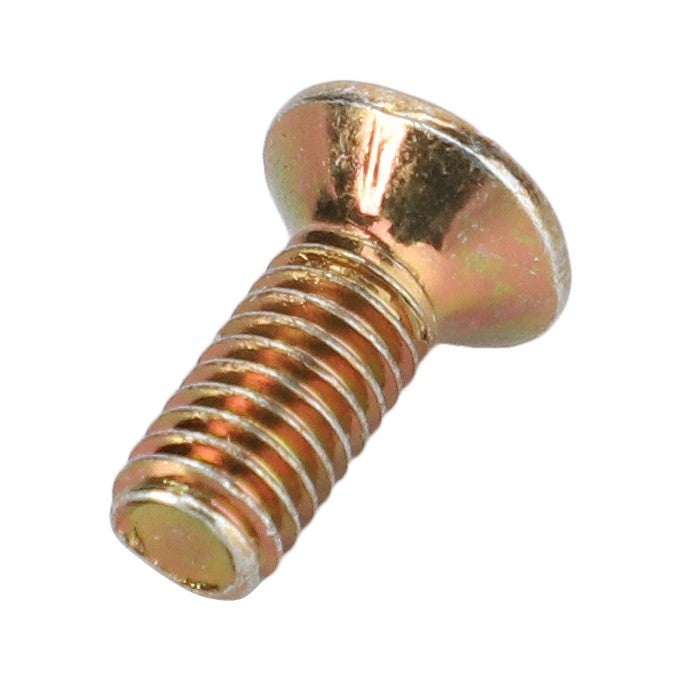 Oval Head Screw — MF-3008891X1