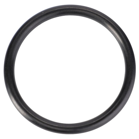 O-Ring, Load Sensing Hydraulics, Ø 34,52 X 3,53 Mm — MF-70924270