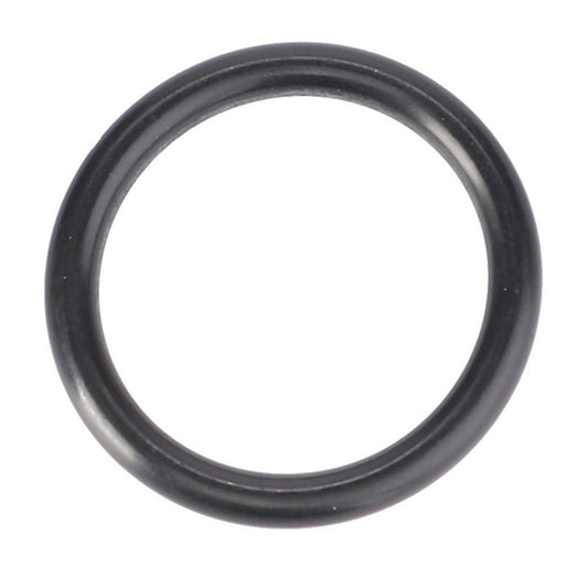 O-Ring, Lift Pump Plug, Ø 18,72 X 2,62 Mm — MF-359002X1