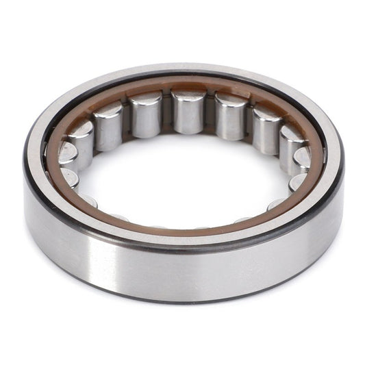 Cylindrical Roller Bearing — MF-3387381M1