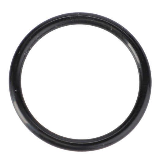 O-Ring, Ø 22,3 X 2,4 Mm — MF-X548868966000