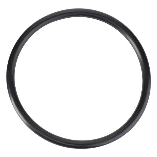 O-Ring, Hydraulics — MF-70923579