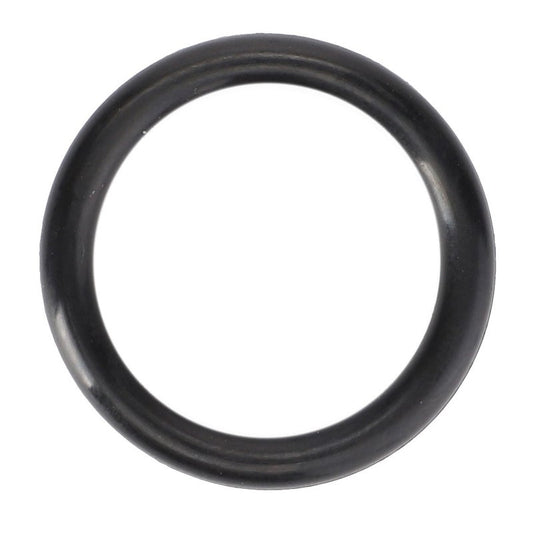 O Ring — MF-AG006124