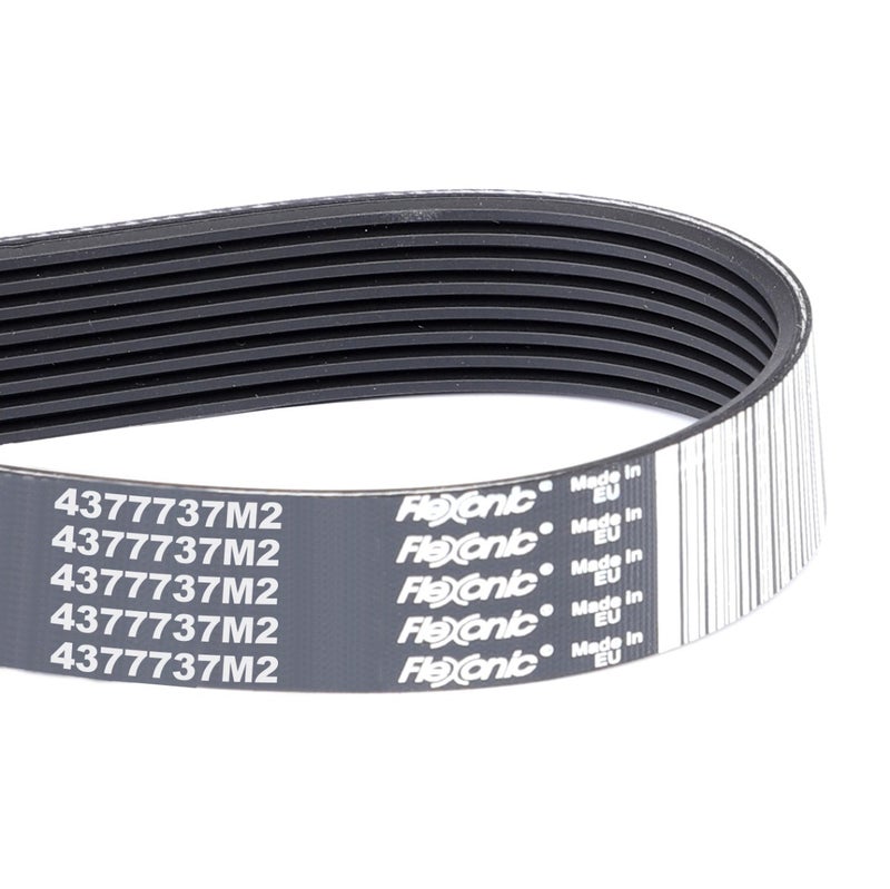 Serpentine Belt, Pk8 Profile — MF-4377737M2