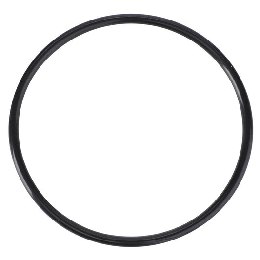 O-Ring, Thermostat Housing — MF-4225843M1