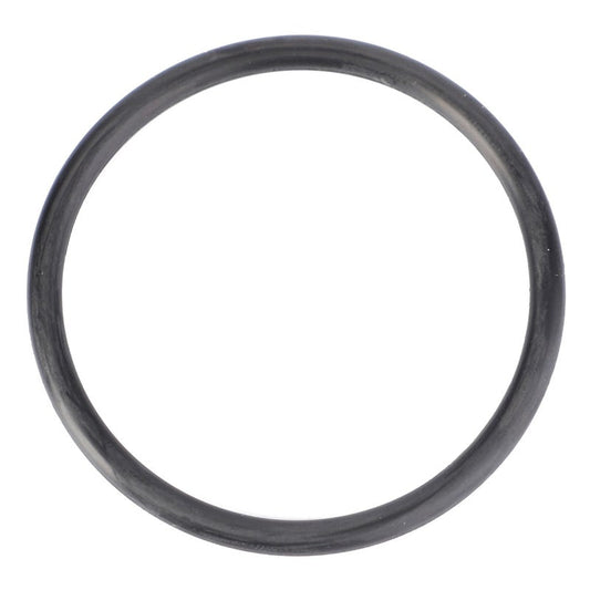 O-Ring, Hydraulic Pump, Ø 46,04 X 3,53 Mm — MF-3010887X1