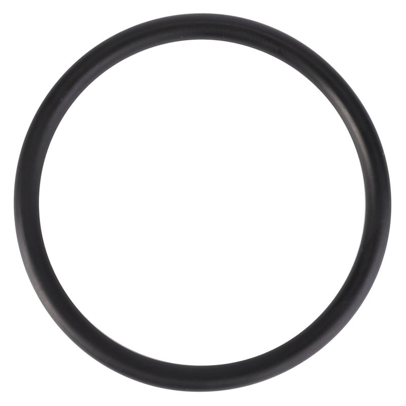 O Ring — MF-3010101X1