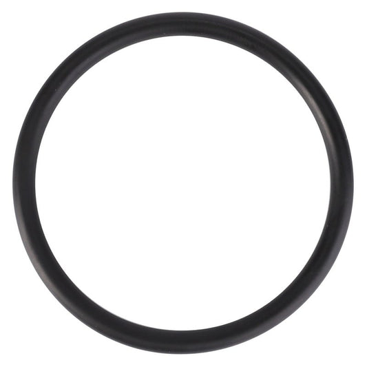 O Ring — MF-3010101X1
