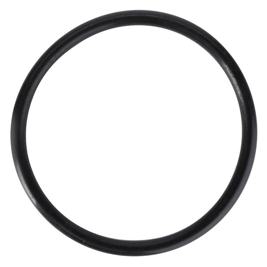O Ring — MF-3010501X1