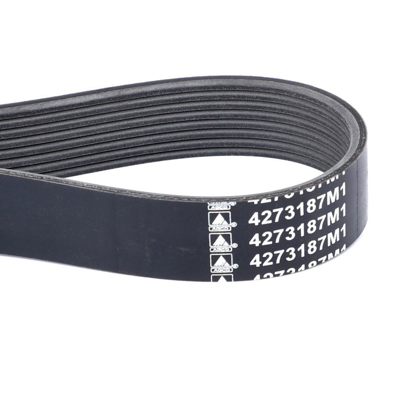 Serpentine Belt, Pk8 Profile — MF-4273187M1