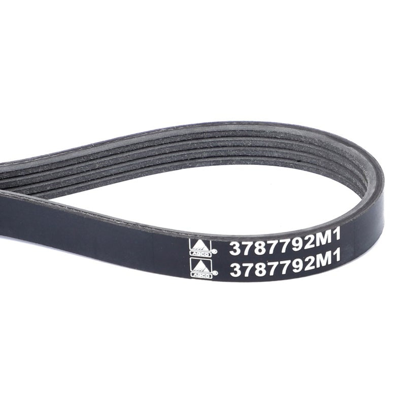 Serpentine Belt, Pk4 Profile — MF-3787792M1